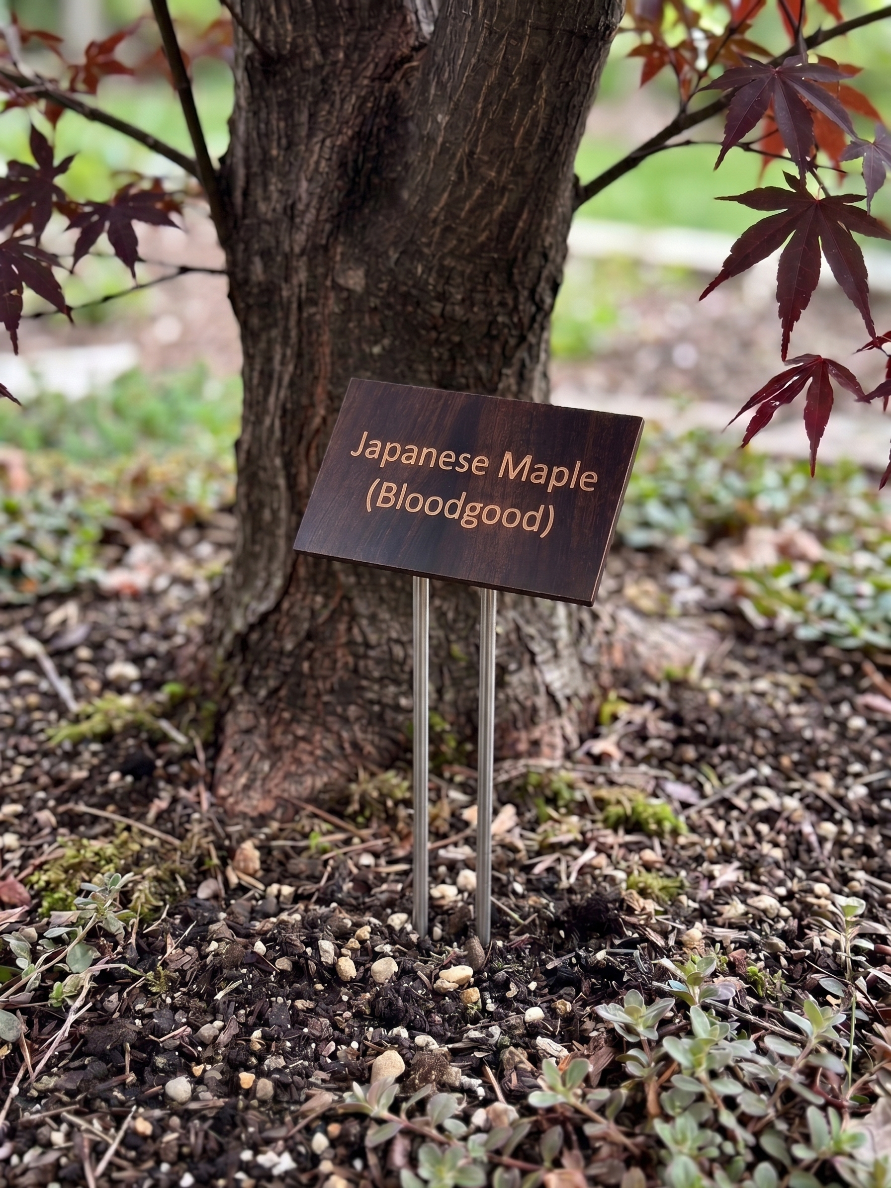 Custom Garden Markers