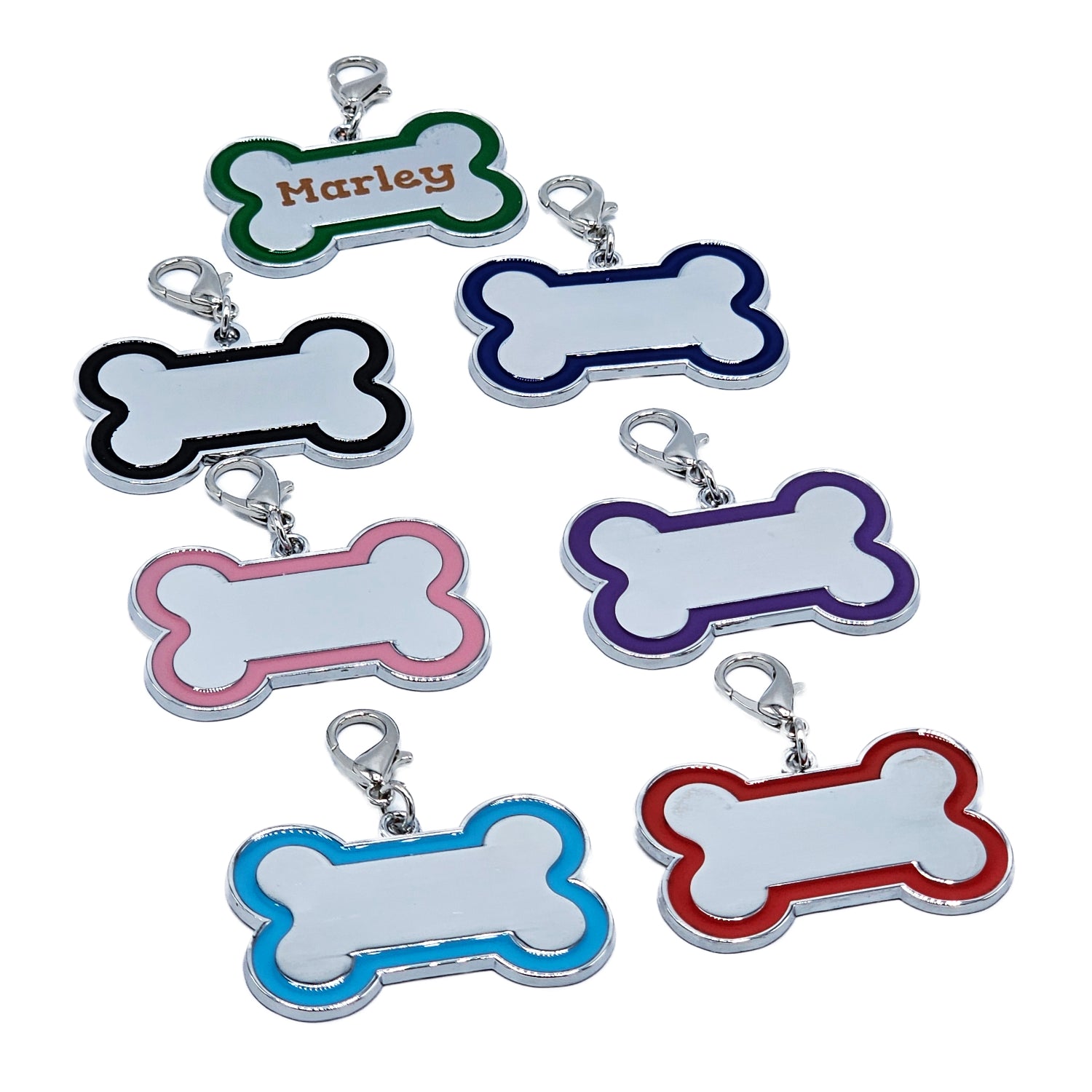 Accent Series Lazer-Engraved Zinc Alloy Bone-Shaped Dog Tag, Silver With Colour border