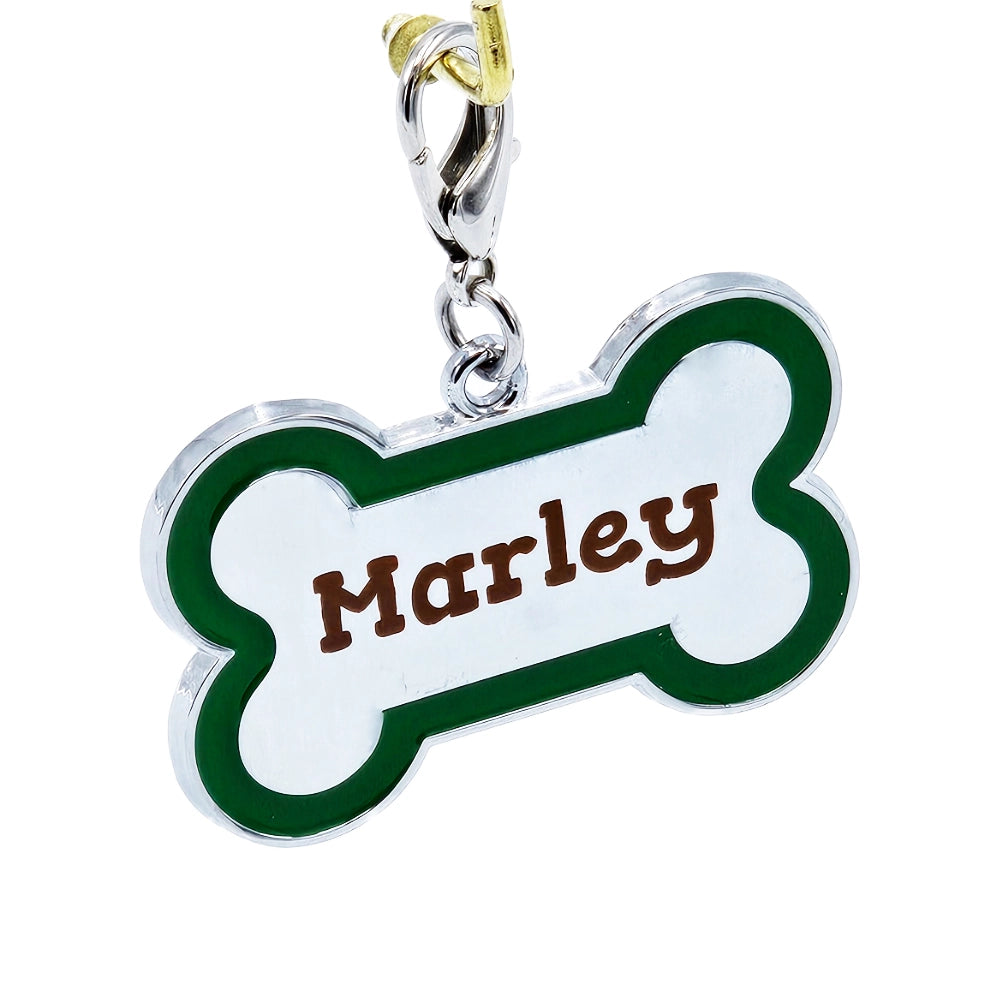 Accent Series Lazer-Engraved Zinc Alloy Bone-Shaped Dog Tag, Silver With Colour border