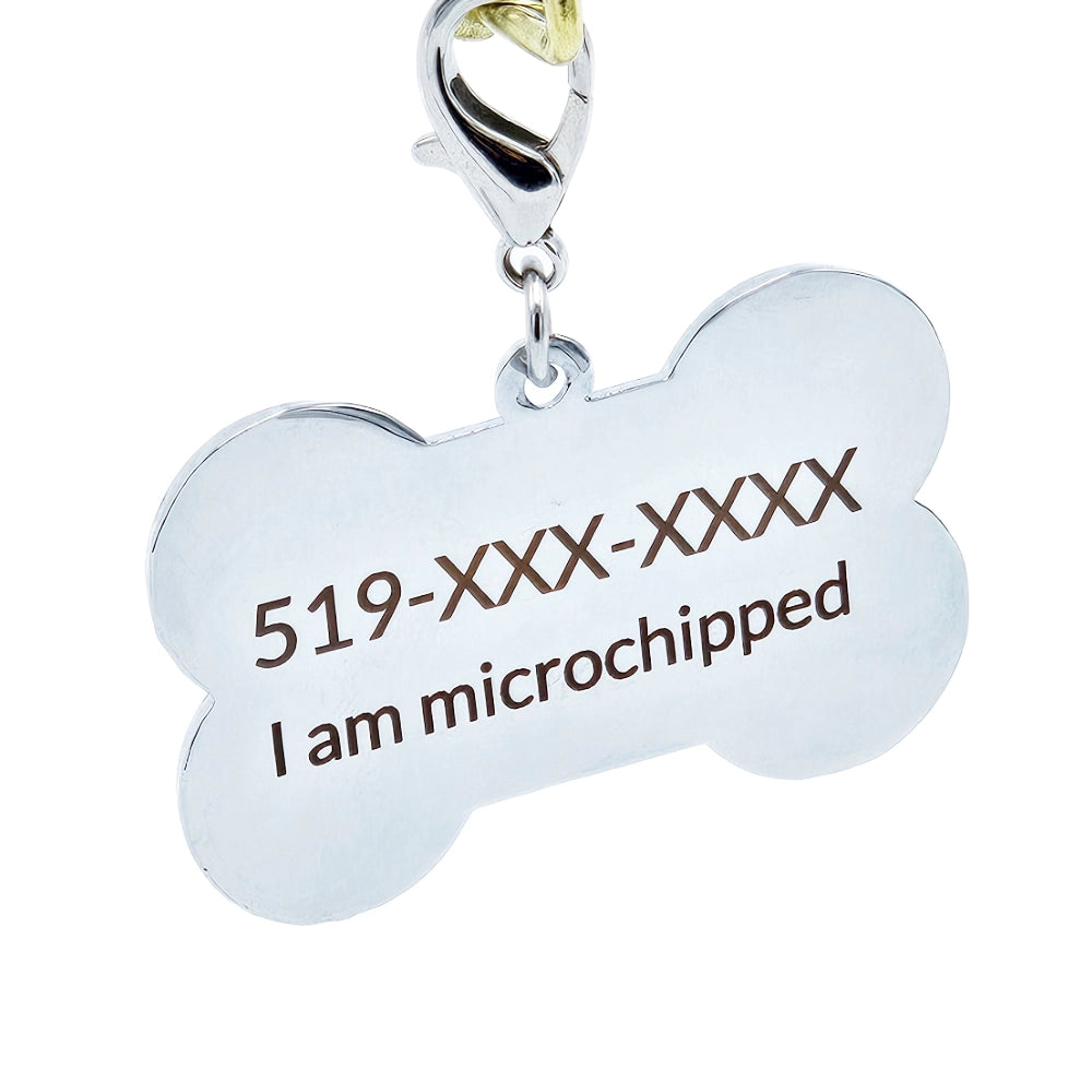 Accent Series Lazer-Engraved Zinc Alloy Bone-Shaped Dog Tag, Silver With Colour border